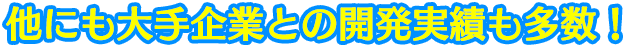 他にも大手企業との開発実績も多数！